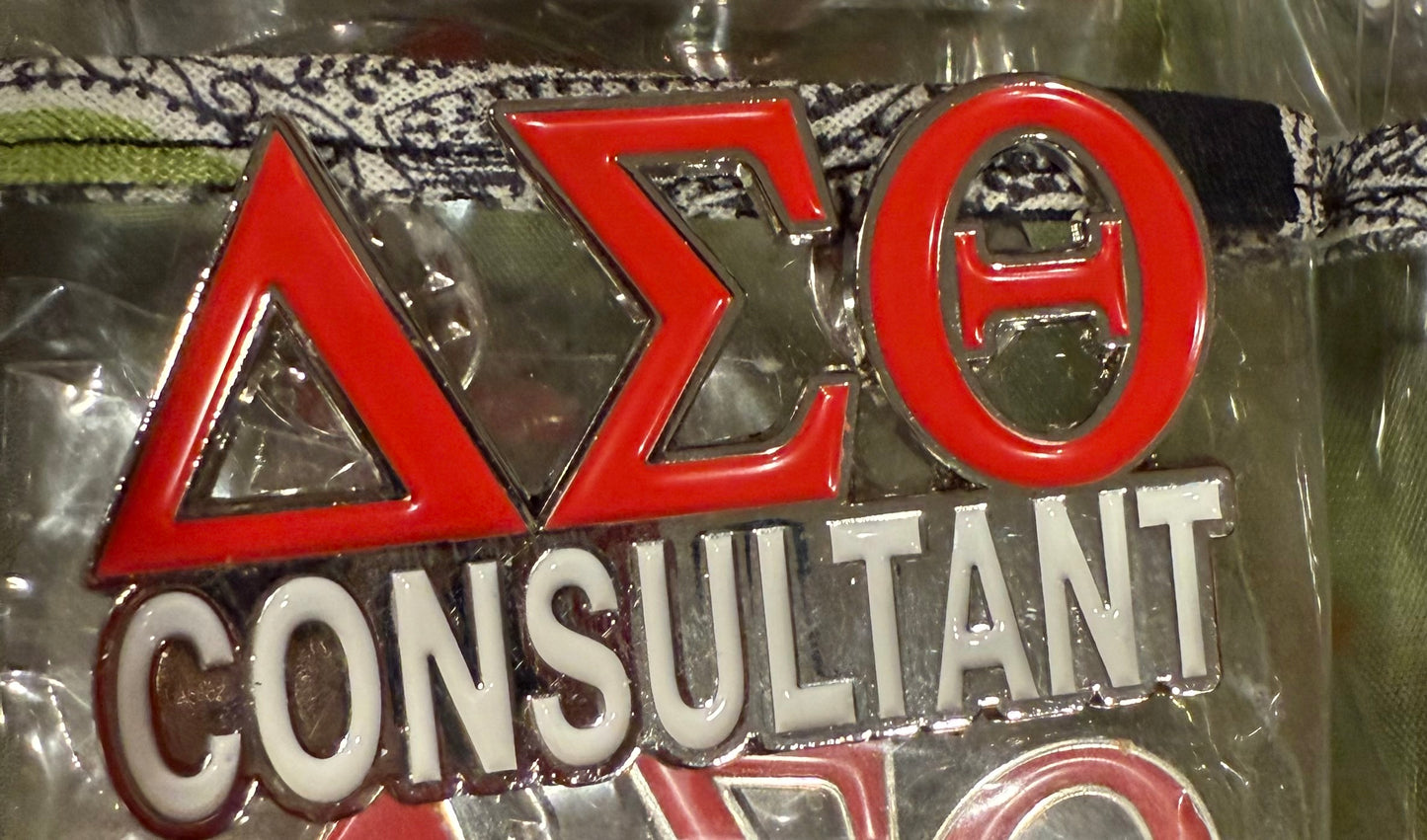 Delta Career Pins