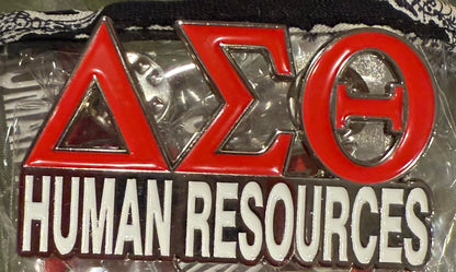 Delta Career Pins