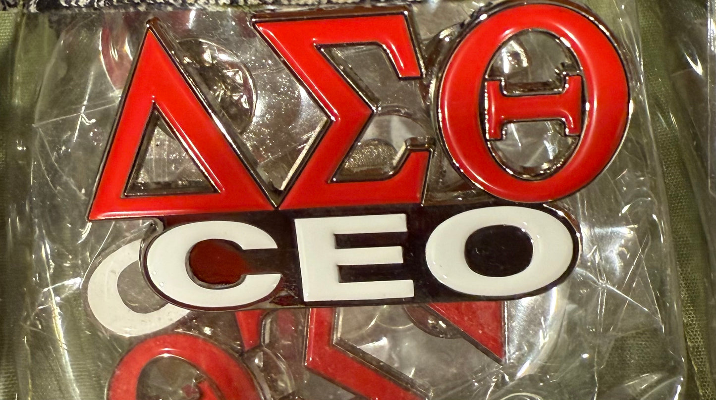 Delta Career Pins