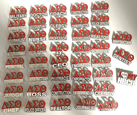 Delta Career Pins